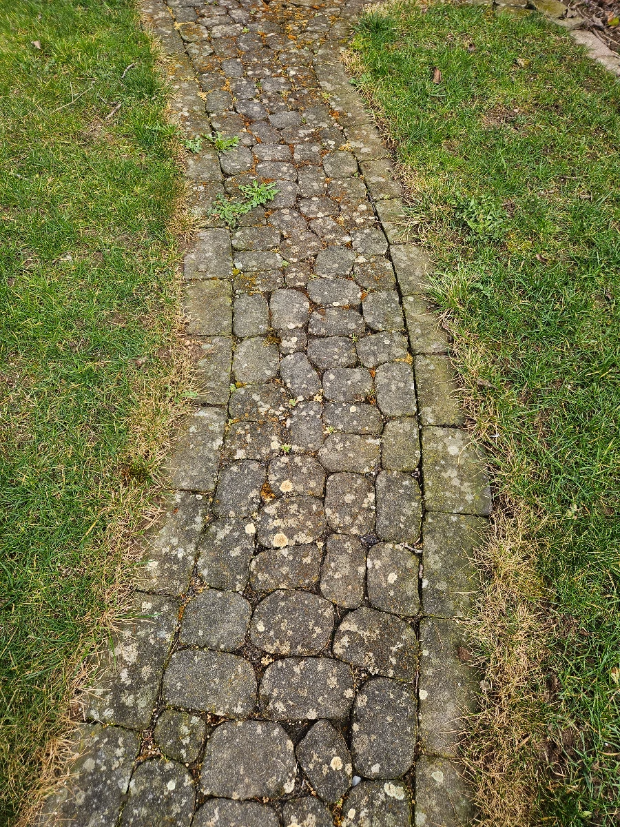 nettoyage des pavés