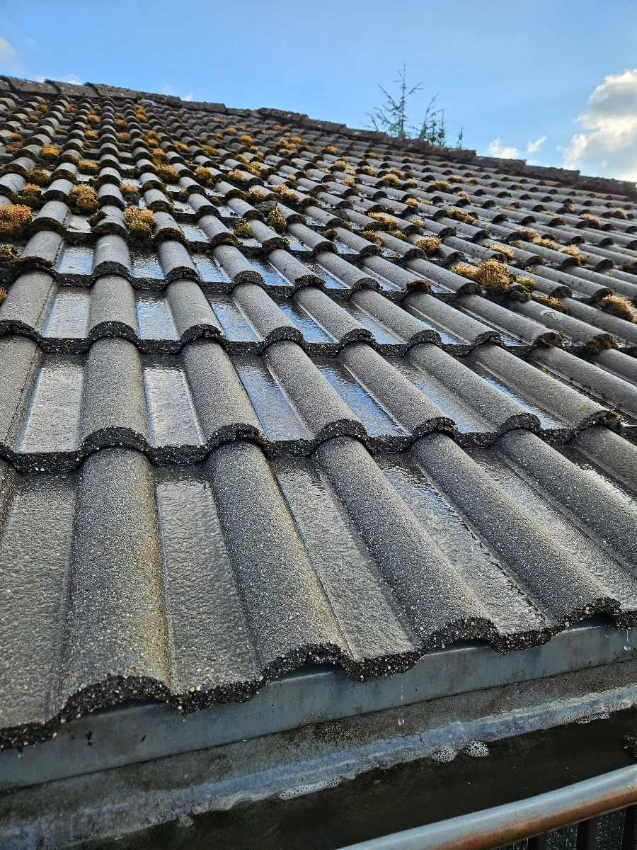 démoussage de toiture