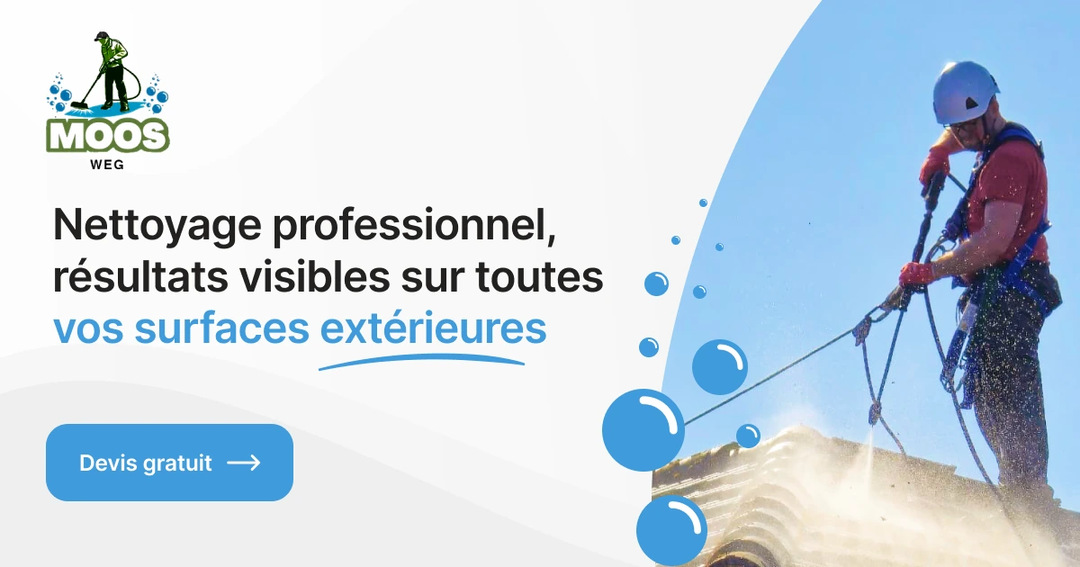 démoussage de toiture